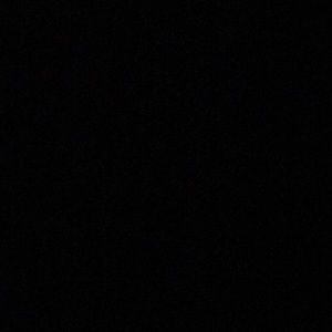 Meet your Posher, Tracie